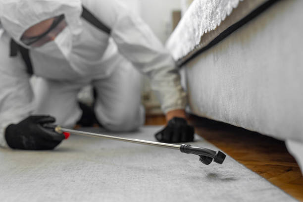 Professional Pest Control technician working in New Berlin, WI