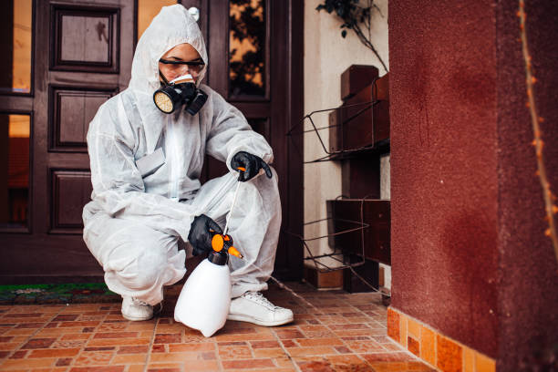 Reliable Cockroach Control contractor in New Berlin, WI by Nex Pest Control