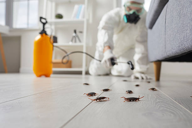 Trusted Bed Bug Control service in New Berlin, WI - Nex Pest Control